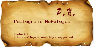 Pellegrini Nefelejcs névjegykártya